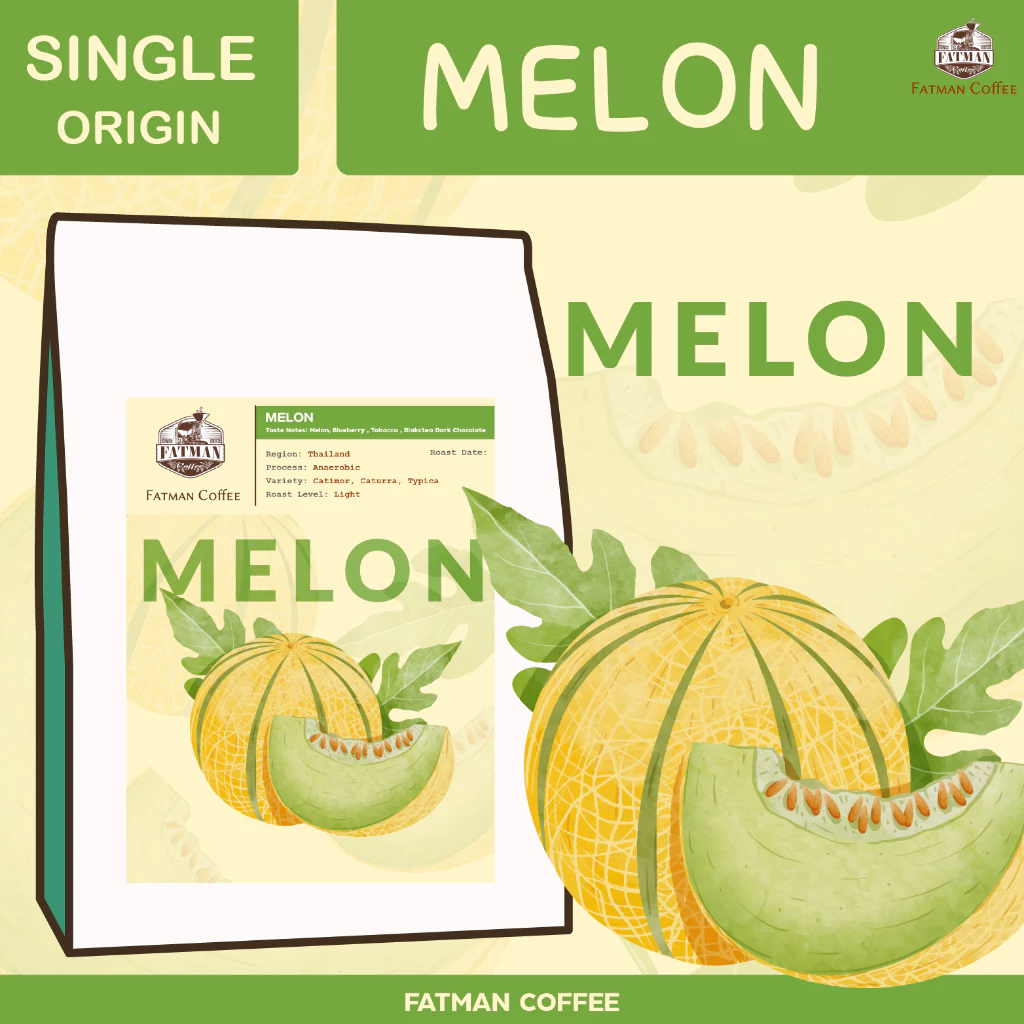 เมล็ดกาแฟคั่วอ่อน Thailand Nan Melon (Exotic coffee)